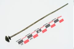 Foto von Bronzeschirmkopfnadel (NHMW-PRAE-024773)